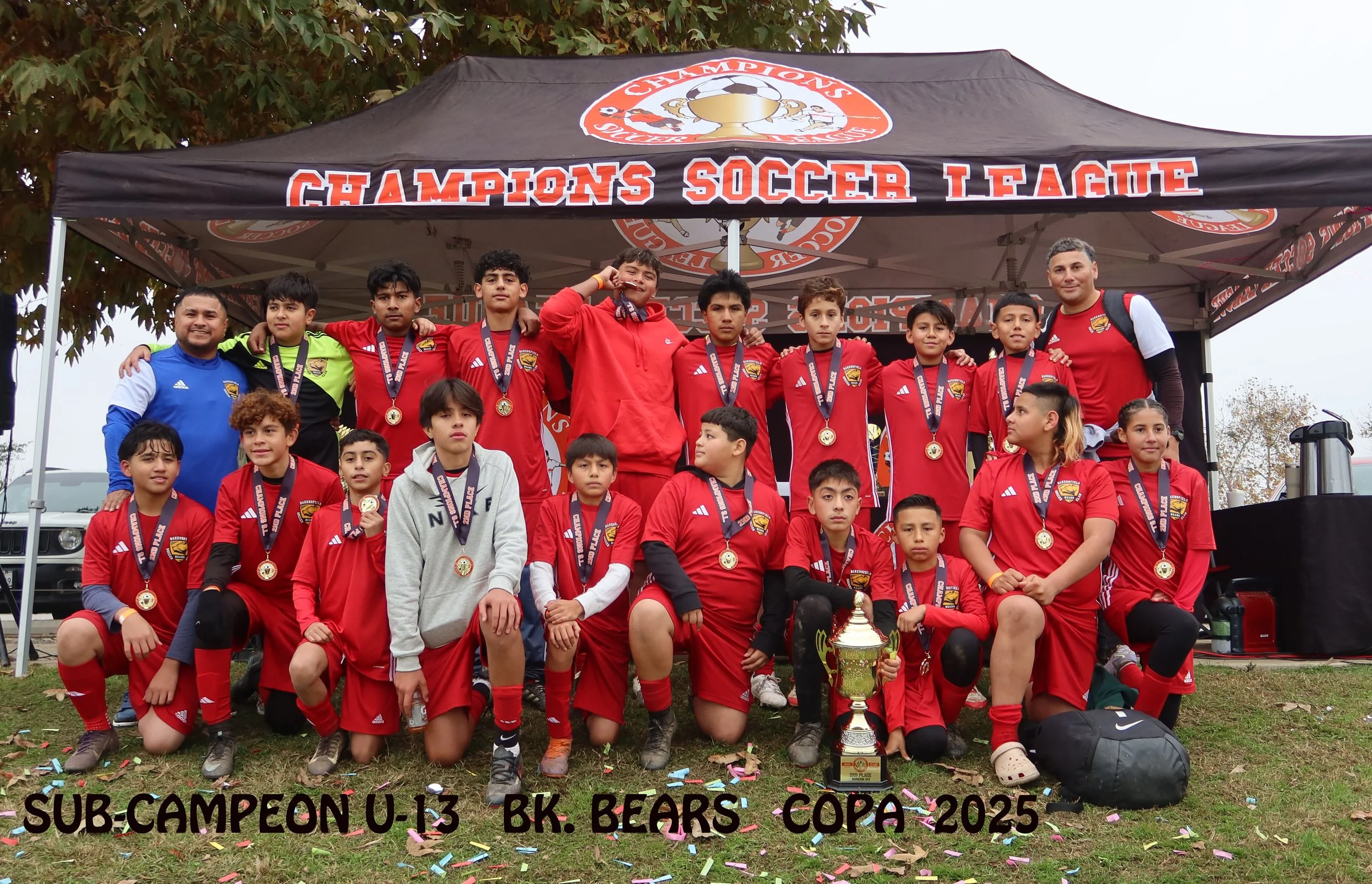 Sports League - Champions Soccer League